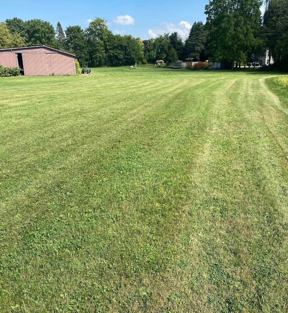 Expert grass cutting in Brantford with perfect striped lawn pattern