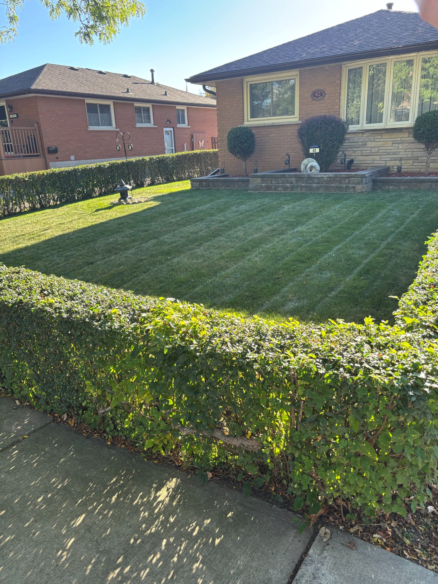 Lawn fertiliser service in Brantford showing healthy green grass with professional striping